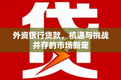 灵山外资银行贷款，机遇与挑战并存的市场新宠