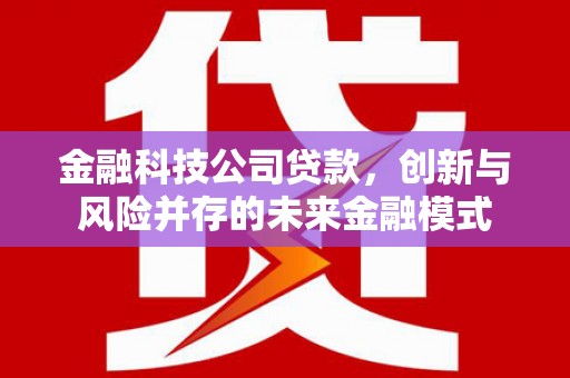 灵山金融科技公司贷款，创新与风险并存的未来金融模式