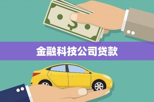 灵山金融科技公司贷款