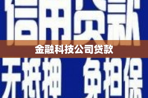 灵山金融科技公司贷款