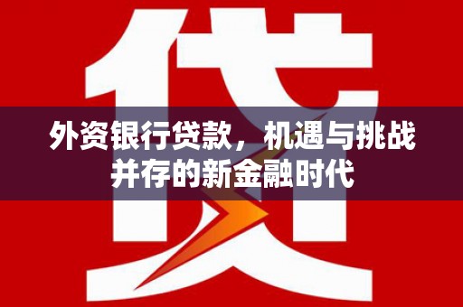 灵山外资银行贷款，机遇与挑战并存的新金融时代