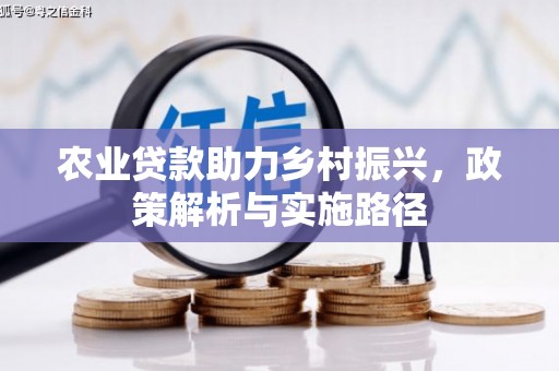 灵山农业贷款助力乡村振兴，政策解析与实施路径