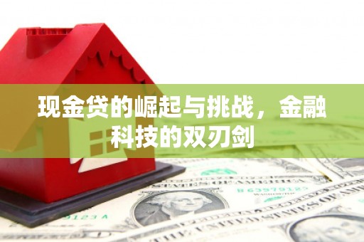 灵山现金贷的崛起与挑战，金融科技的双刃剑