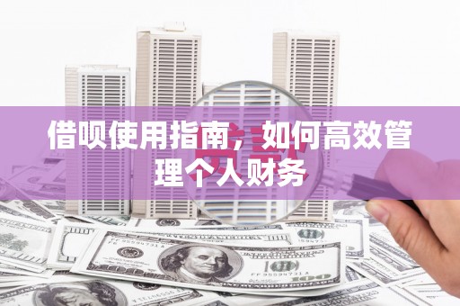 灵山借呗使用指南，如何高效管理个人财务