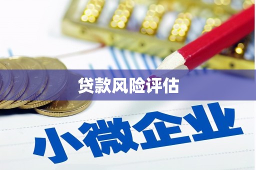 灵山贷款风险评估