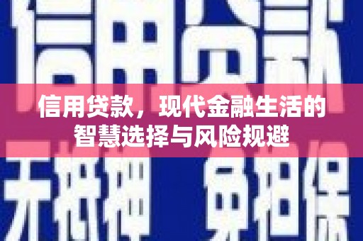 灵山信用贷款，现代金融生活的智慧选择与风险规避