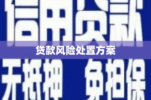 灵山贷款风险处置方案