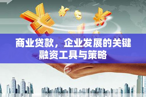 灵山商业贷款，企业发展的关键融资工具与策略
