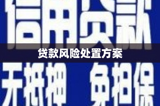 灵山贷款风险处置方案