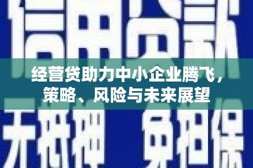 灵山经营贷助力中小企业腾飞，策略、风险与未来展望