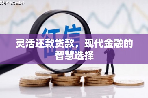 灵山灵活还款贷款，现代金融的智慧选择