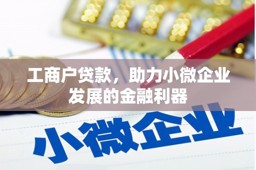 灵山工商户贷款，助力小微企业发展的金融利器