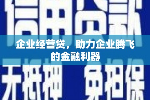 灵山企业经营贷，助力企业腾飞的金融利器