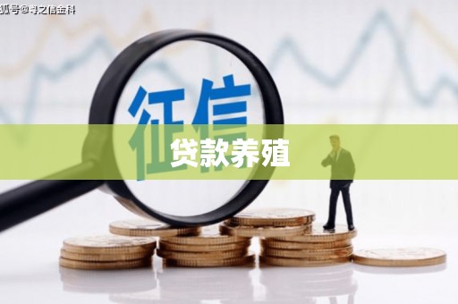 灵山贷款养殖