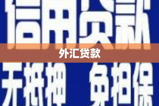 灵山外汇贷款