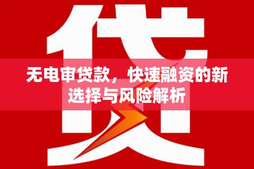 灵山无电审贷款，快速融资的新选择与风险解析