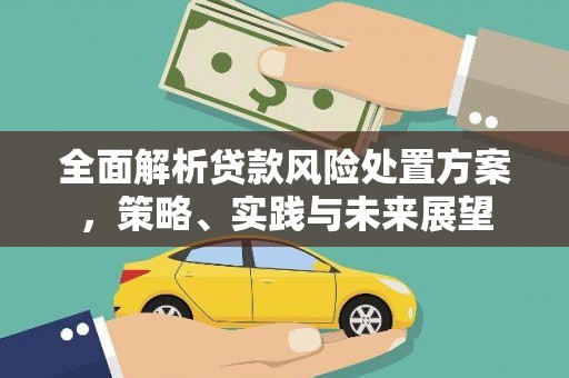 灵山全面解析贷款风险处置方案，策略、实践与未来展望