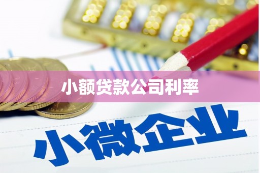 灵山小额贷款公司利率