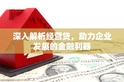 灵山深入解析经营贷，助力企业发展的金融利器