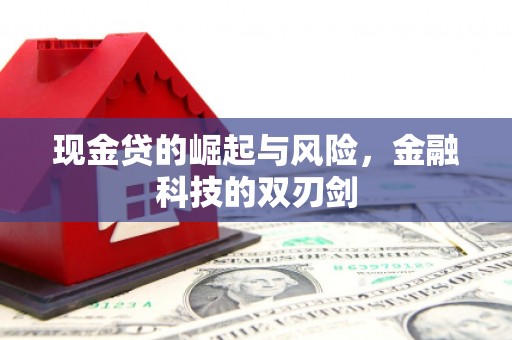 灵山现金贷的崛起与风险，金融科技的双刃剑