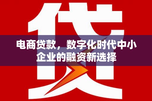 灵山电商贷款，数字化时代中小企业的融资新选择