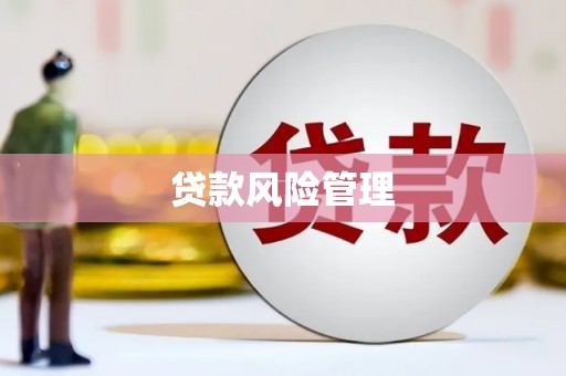 灵山贷款风险管理