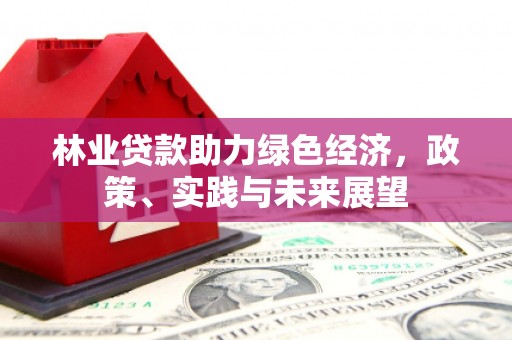 灵山林业贷款助力绿色经济，政策、实践与未来展望