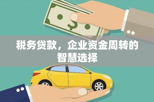 灵山税务贷款，企业资金周转的智慧选择