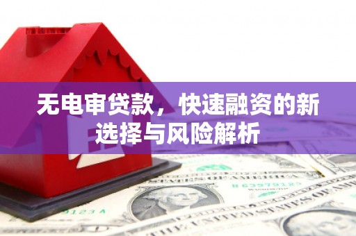 灵山无电审贷款，快速融资的新选择与风险解析