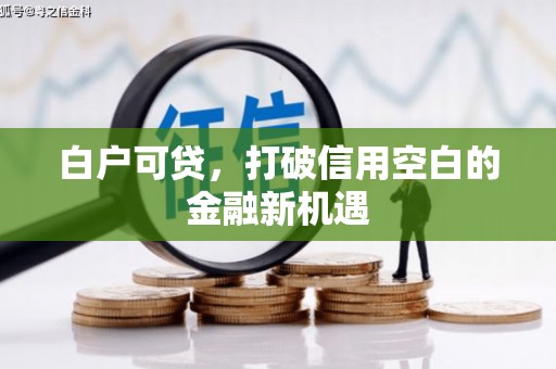 灵山白户可贷，打破信用空白的金融新机遇