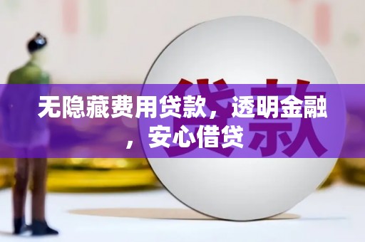 灵山无隐藏费用贷款，透明金融，安心借贷