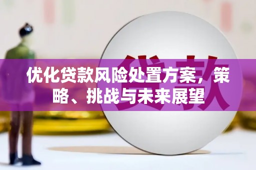 灵山优化贷款风险处置方案，策略、挑战与未来展望