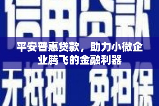 灵山平安普惠贷款，助力小微企业腾飞的金融利器