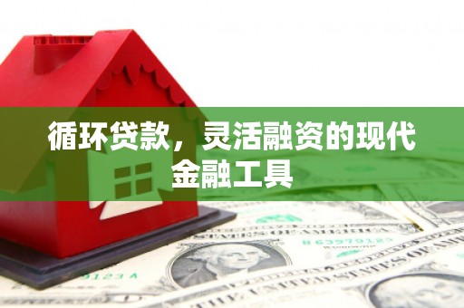 灵山循环贷款，灵活融资的现代金融工具