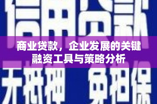 灵山商业贷款，企业发展的关键融资工具与策略分析