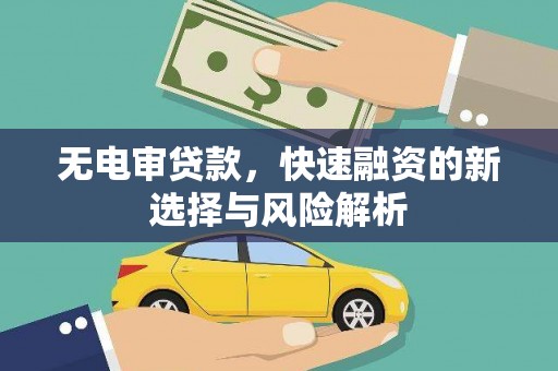 灵山无电审贷款，快速融资的新选择与风险解析