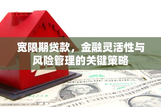 灵山宽限期贷款，金融灵活性与风险管理的关键策略