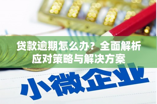 灵山贷款逾期怎么办？全面解析应对策略与解决方案