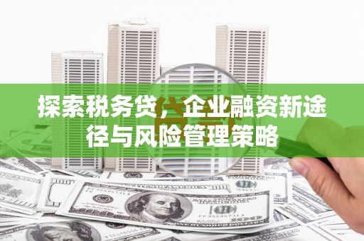 灵山探索税务贷，企业融资新途径与风险管理策略