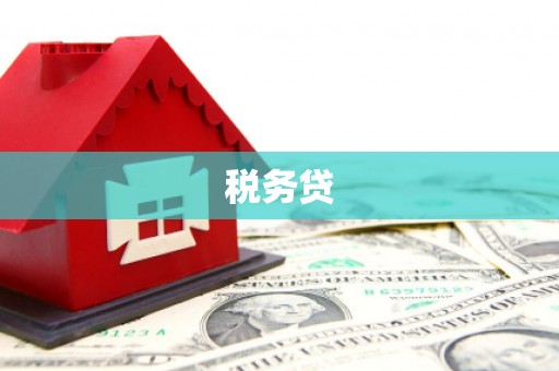 灵山税务贷