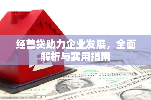 灵山经营贷助力企业发展，全面解析与实用指南