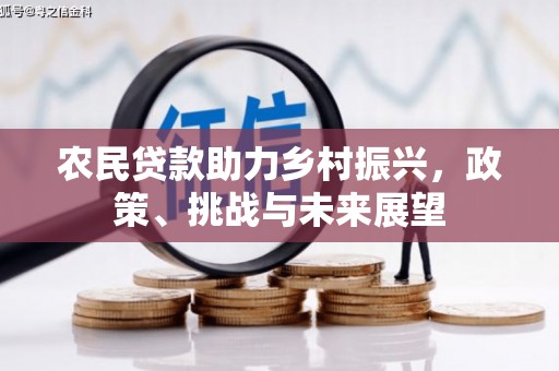 灵山农民贷款助力乡村振兴，政策、挑战与未来展望