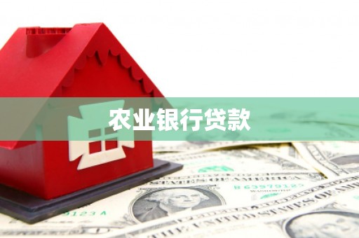 灵山农业银行贷款