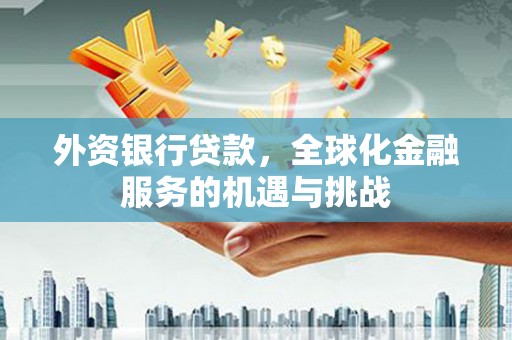 灵山外资银行贷款，全球化金融服务的机遇与挑战