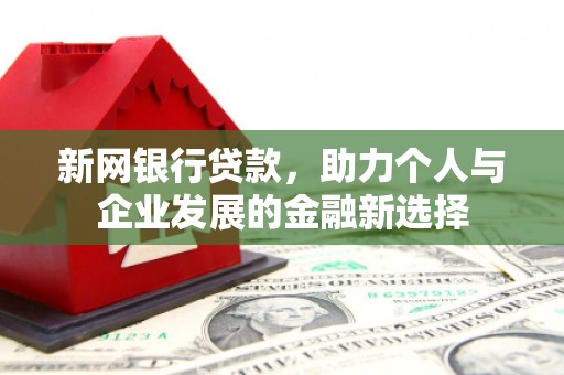 灵山新网银行贷款，助力个人与企业发展的金融新选择
