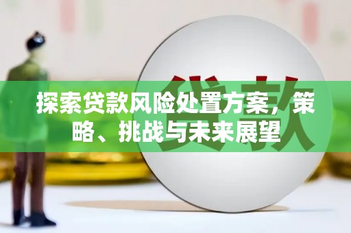 灵山探索贷款风险处置方案，策略、挑战与未来展望