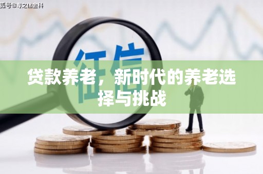 灵山贷款养老，新时代的养老选择与挑战