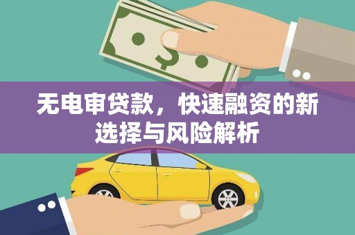 灵山无电审贷款，快速融资的新选择与风险解析