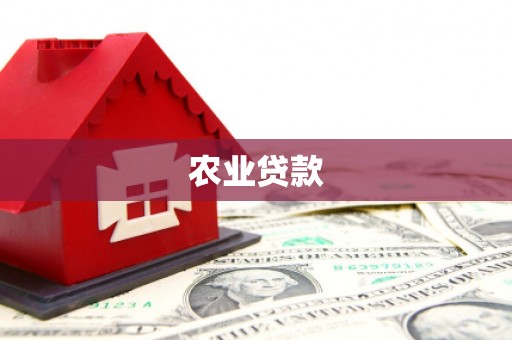 灵山农业贷款