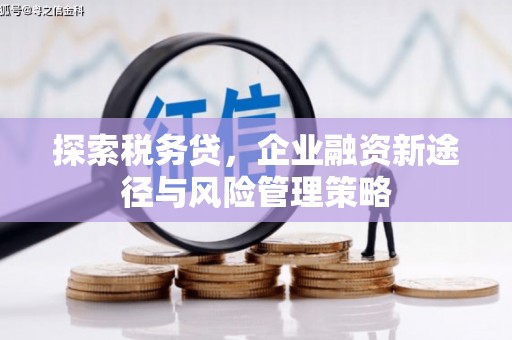 灵山探索税务贷，企业融资新途径与风险管理策略